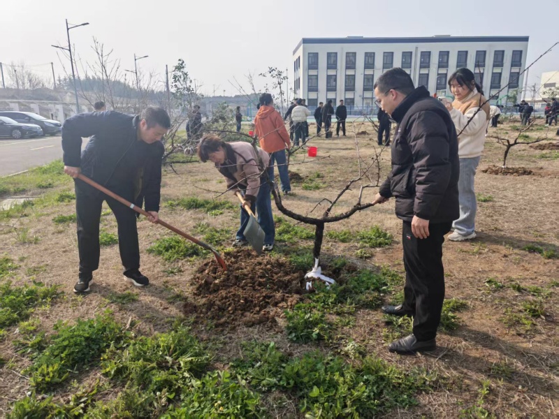 市城投集團開展義務植樹活動